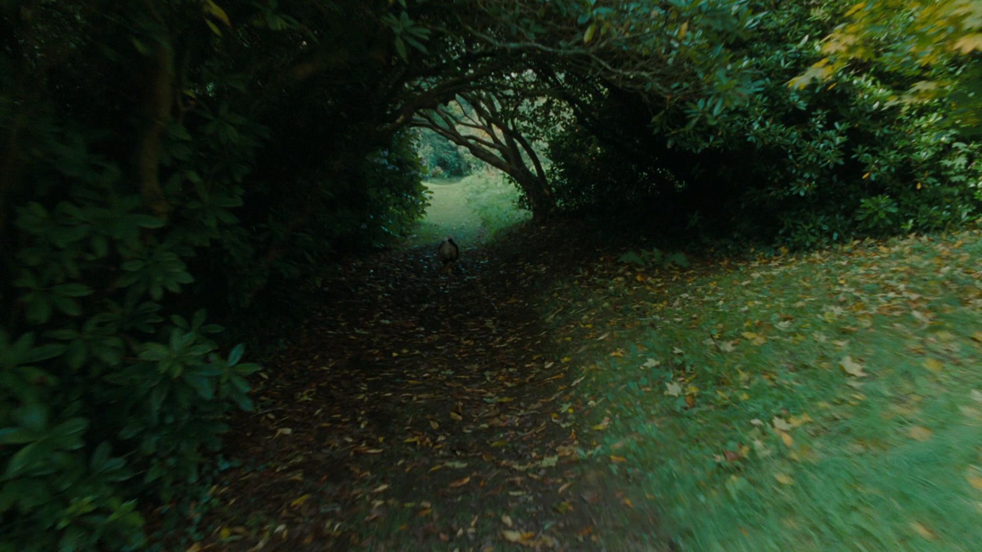 AliceInWonderland0352.jpg