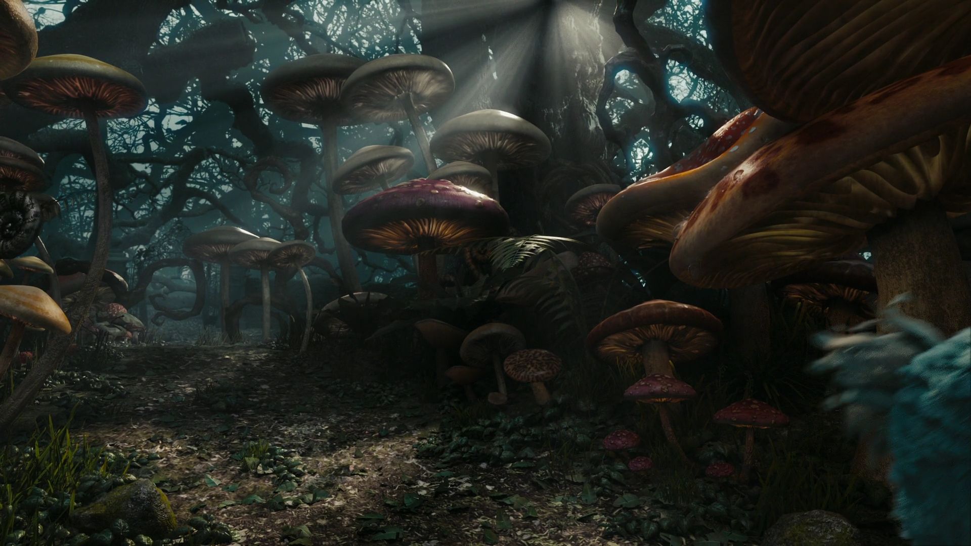 AliceInWonderland0605.jpg