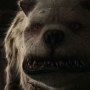 AliceInWonderland2012.jpg
