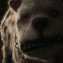 AliceInWonderland2013.jpg