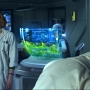 Avatar0271.jpg