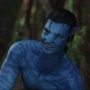 Avatar1440.jpg