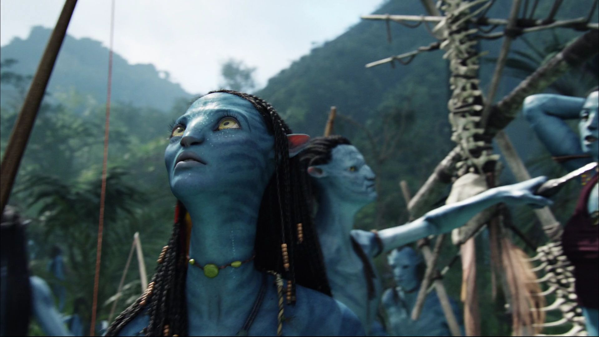 Avatar2453.jpg