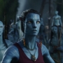 Avatar2173.jpg