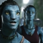 Avatar2394.jpg