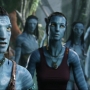 Avatar2396.jpg