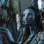 Avatar2404.jpg