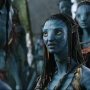 Avatar2405.jpg