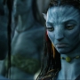 Avatar2415.jpg