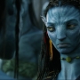 Avatar2416.jpg