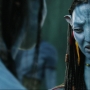 Avatar2419.jpg