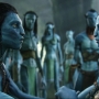 Avatar2420.jpg