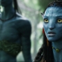 Avatar2422.jpg