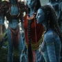 Avatar2424.jpg