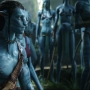 Avatar2425.jpg