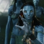 Avatar2427.jpg