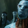 Avatar2429.jpg