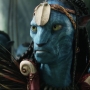 Avatar2431.jpg