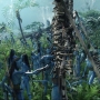 Avatar2445.jpg