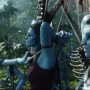 Avatar2447.jpg