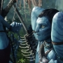 Avatar2448.jpg