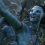 Avatar2484.jpg