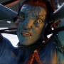 Avatar2511.jpg