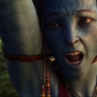 Avatar2525.jpg