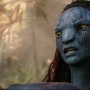 Avatar2526.jpg