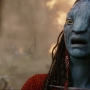 Avatar2527.jpg