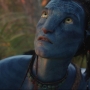 Avatar2571.jpg