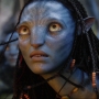 Avatar2581.jpg