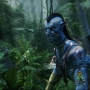 Avatar3593.jpg