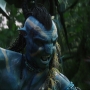 Avatar3623.jpg