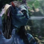 Avatar3684.jpg