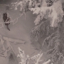Filename=LionWitchWardrobe0309.jpg
Filesize=291KiB
Dimensions=1920x816
Date added=Oct 22, 2021 LionWitchWardrobe0309.jpg