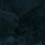 LionWitchWardrobe1361.jpg
