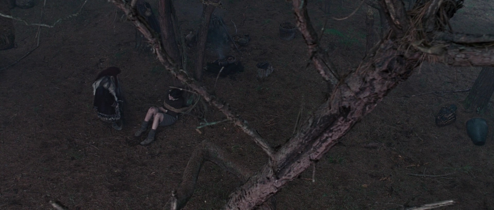 LionWitchWardrobe1884.jpg