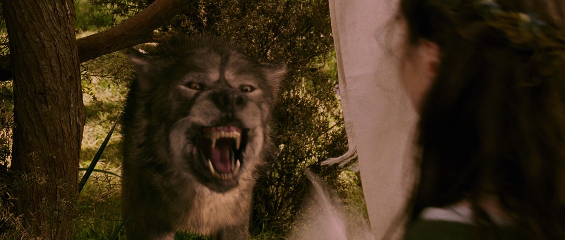 LionWitchWardrobe1903.jpg