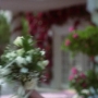 Filename=04410.jpg
Filesize=130KiB
Dimensions=1920x1080
Date added=Oct 22, 2021 04410.jpg