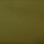 1110.jpg