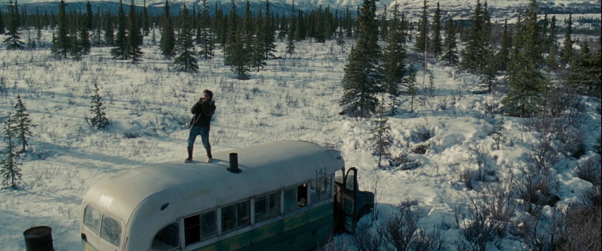 IntoTheWild0103.jpg