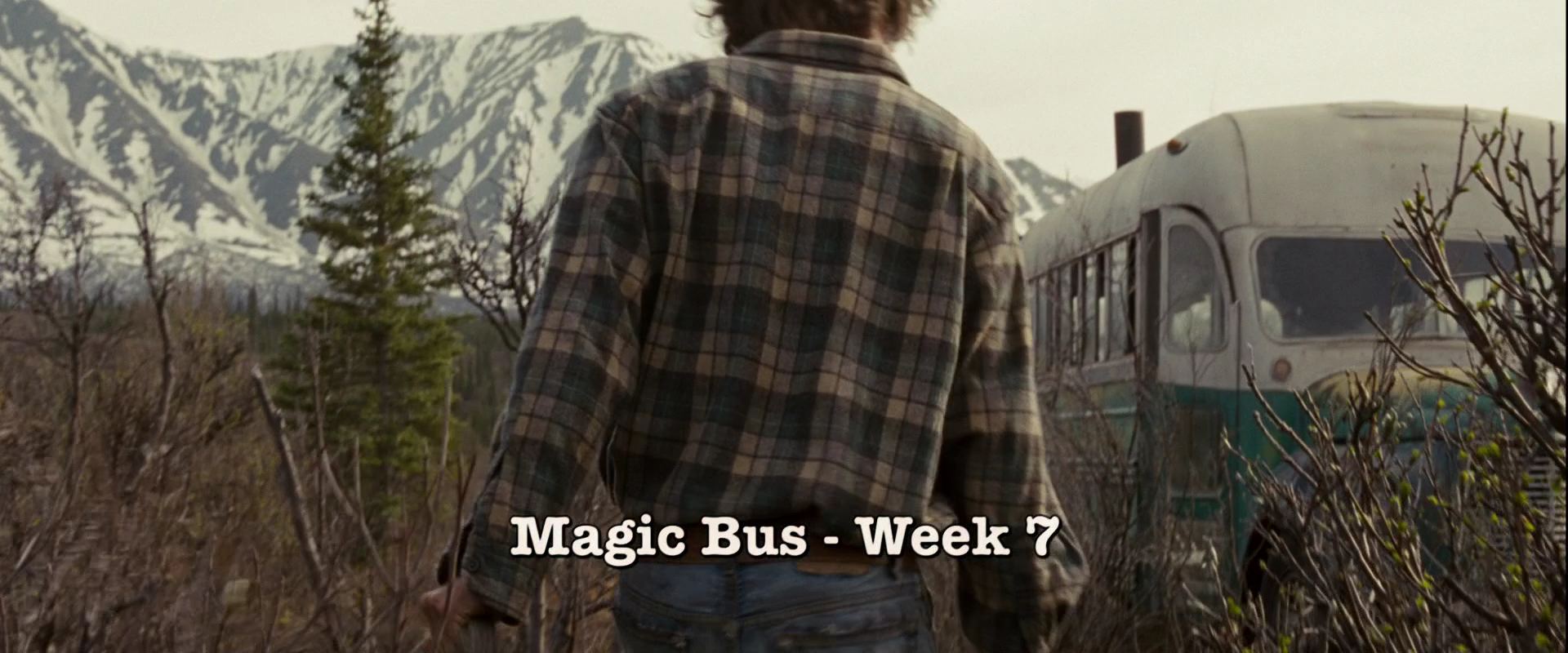 IntoTheWild1143.jpg