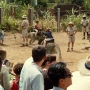 JurassicWorld-00748.jpg