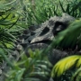 JurassicWorld-01091.jpg