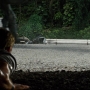 JurassicWorld-01119.jpg