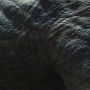 JurassicWorld-01580.jpg