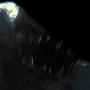 JurassicWorld-02211.jpg