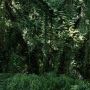 JurassicWorld-02226.jpg