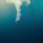 JurassicWorld-02419.jpg